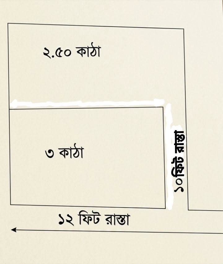 798516256_4342883936021914_2038154576834048254_n